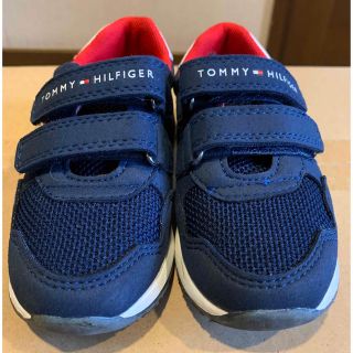 トミーヒルフィガー(TOMMY HILFIGER)のトミーヒルフィガー　キッズ　15センチ(スニーカー)