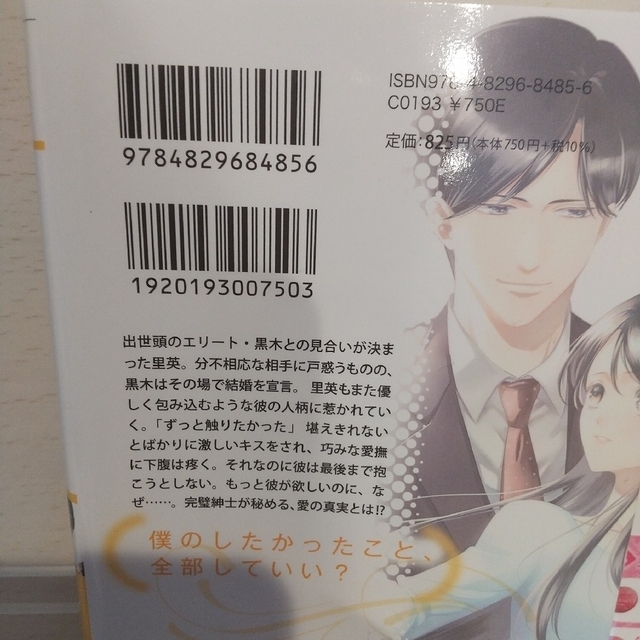 ２冊セット 僕の手の中に落ちてこい/執着弁護士の愛が重すぎる エンタメ/ホビーの本(その他)の商品写真