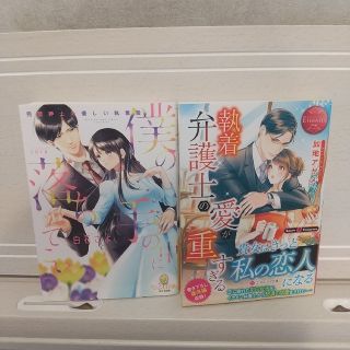 ２冊セット 僕の手の中に落ちてこい/執着弁護士の愛が重すぎる(その他)