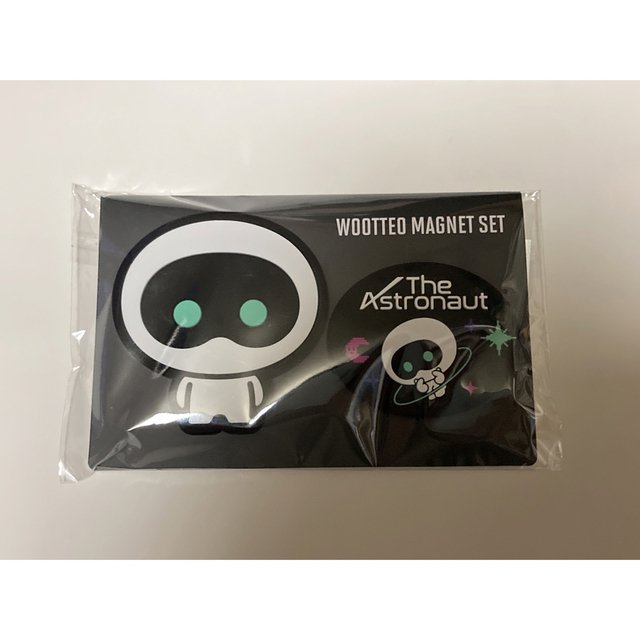 BTS JIN Wootteo Magnet | kidscareclinics.com