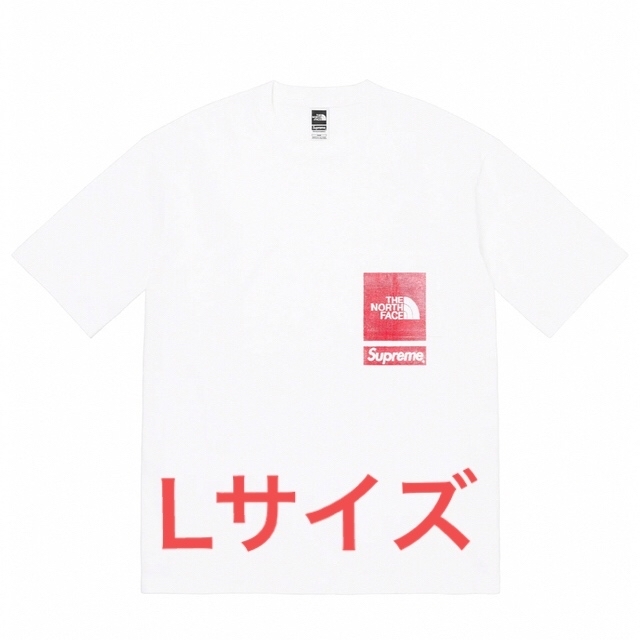 The North Face Printed Pocket Tee - Tシャツ/カットソー(半袖/袖なし)