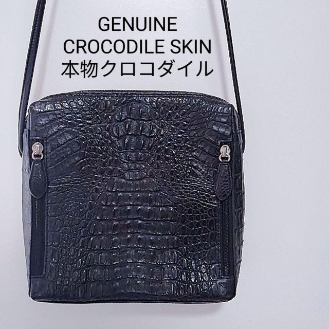 Crocodile - GENUINE CROCODILE SKIN 本物クロコダイル ショルダー