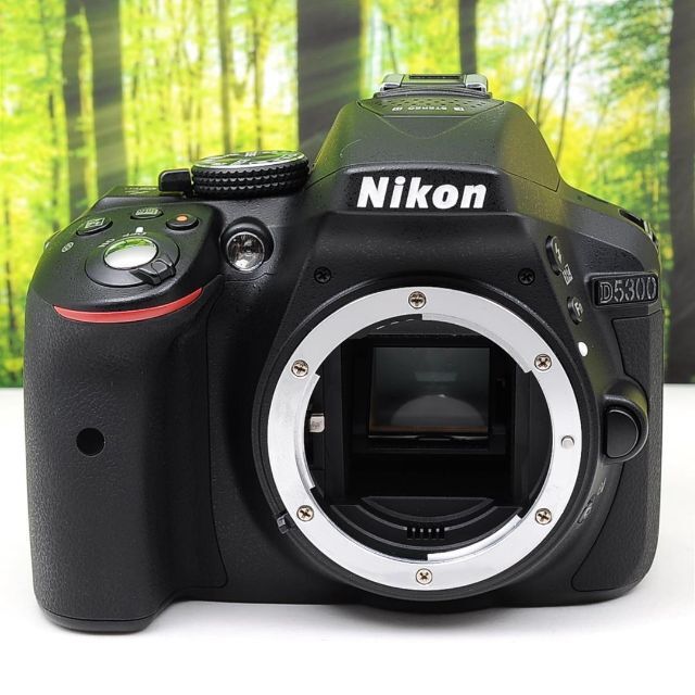 Nikon D5300☆スマホに転送できるWiFi機能つき一眼レフ☆3560