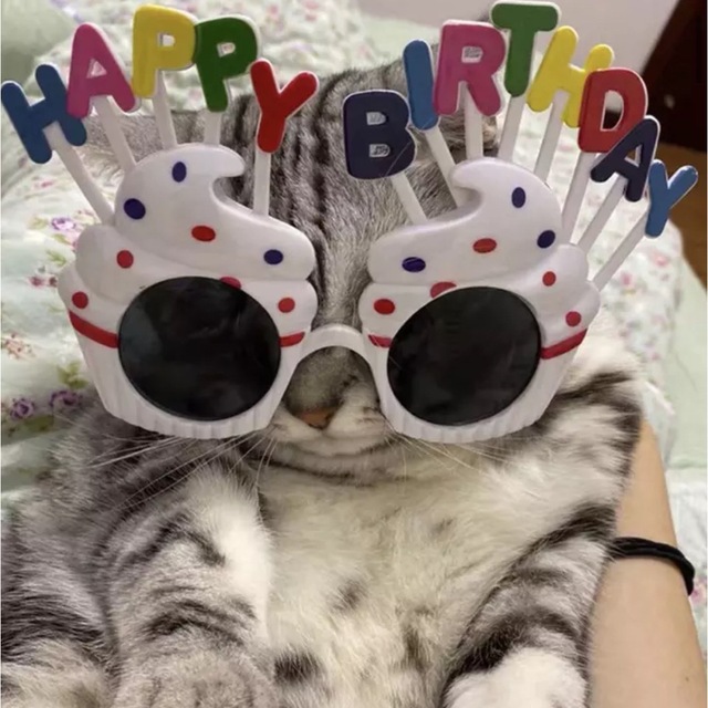 【匿名配送】HAPPY BIRTHDAY♥メガネ カップケーキ エンタメ/ホビーのおもちゃ/ぬいぐるみ(その他)の商品写真