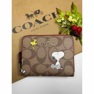コーチ(COACH) ウッドストック 財布(レディース)の通販 200点以上 コーチ(COACH) ウッドストック 財布(レディース)の通販 200点以上