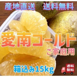 愛媛県産※愛南ゴールド※家庭用フルーツ柑橘蜜柑果樹果物［河内晩柑］(フルーツ)