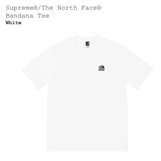 Supreme The North Face Bandana Tee Mサイズ