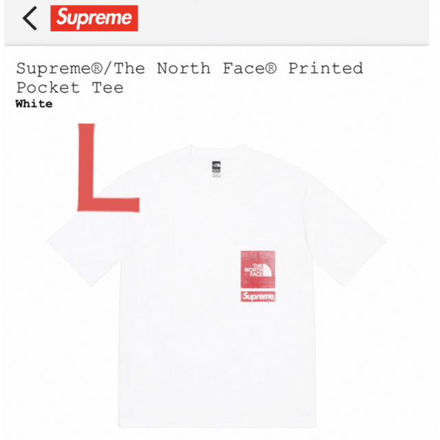 Supreme The NorthFace Printed Pocket Tee