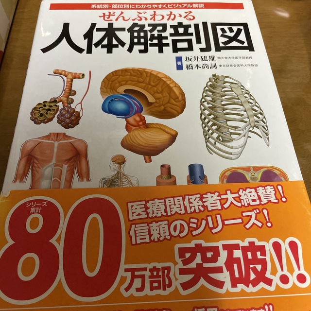 ぜんぶわかる人体解剖図 系統別・部位別にわかりやすくビジュアル解説 エンタメ/ホビーの本(その他)の商品写真
