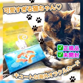 ✨キュート！✨生き生きとした猫ちゃんが描かれた海外オラクルカード・タロットカード(その他)