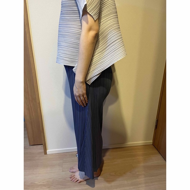 Pleats Please パンツ 定番スタイル、22年11月の色 【SEAL限定商品