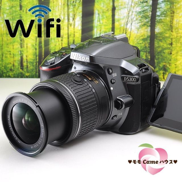 人気No.1】 Nikon D5300☆WiFi機能つき☆希少なグレーカラーの一眼レフ