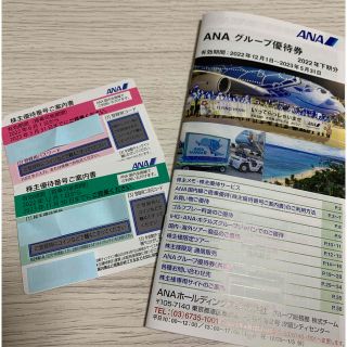 エーエヌエー(ゼンニッポンクウユ)(ANA(全日本空輸))のANA 全日空 株主優待券2枚 グループ優待券1冊(その他)