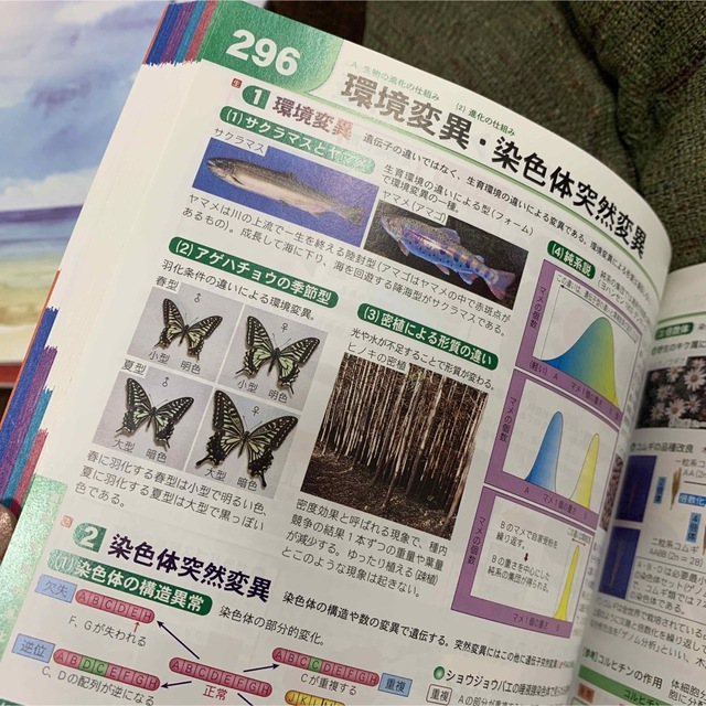 新課程☆NEW photographic 生物図説☆生物基礎☆秀文堂☆教科書 エンタメ/ホビーの本(科学/技術)の商品写真