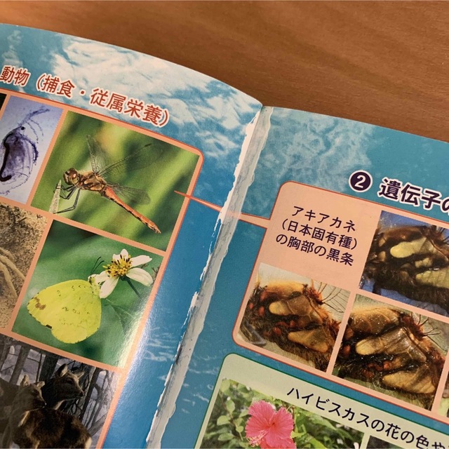 新課程☆NEW photographic 生物図説☆生物基礎☆秀文堂☆教科書 エンタメ/ホビーの本(科学/技術)の商品写真