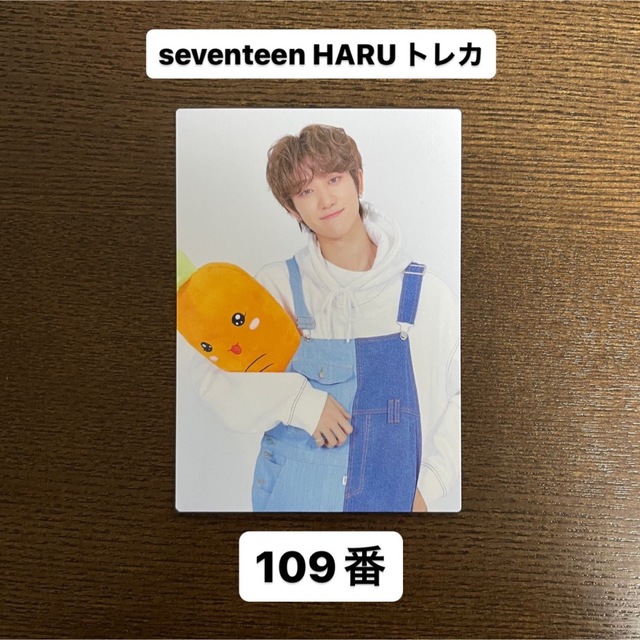 SEVENTEEN セブチ ウォヌ ハルコン HARU トレカ ソロ コンプ