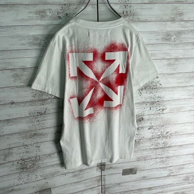 6812【即完売モデル】オフホワイト☆バックプリント人気カラーtシャツ