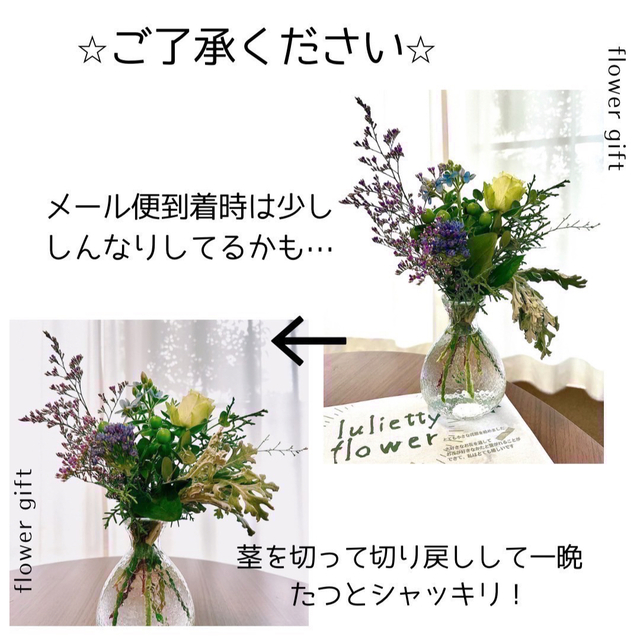 ■季節のお花のメール便2倍増量■ 切花生花メール便1,350円 ハンドメイドのフラワー/ガーデン(その他)の商品写真