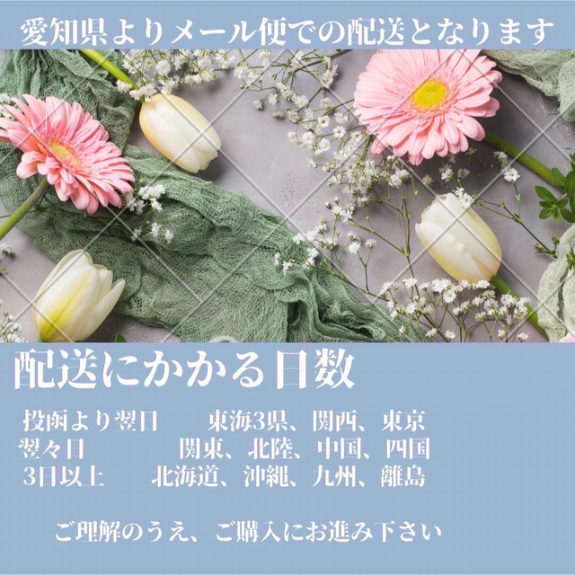 ■季節のお花のメール便2倍増量■ 切花生花メール便1,350円 ハンドメイドのフラワー/ガーデン(その他)の商品写真