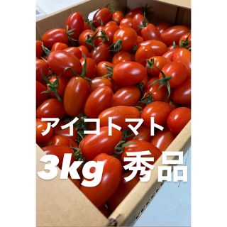 本日限定価格アイコ3kg秀品(野菜)