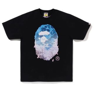 アベイシングエイプ(A BATHING APE)のSAKURA PHOTO APE HEAD TEE(Tシャツ/カットソー(半袖/袖なし))