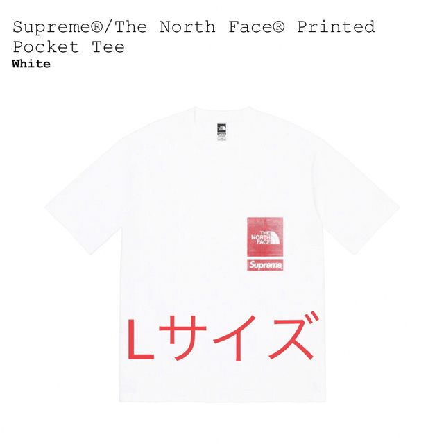 メンズSupreme The North Face Printed Poket Tee