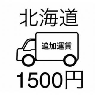 追加運賃1500円(その他)