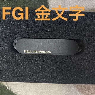 Fernandes - フェルナンデス ピックアップ FGI technology 金文字