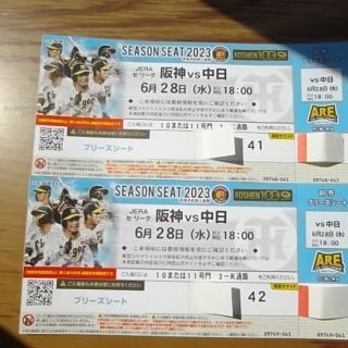 ハンシンタイガース(阪神タイガース)の6月28日（水）阪神 vs 中日　ブリーズシート2連番【通路側】(野球)