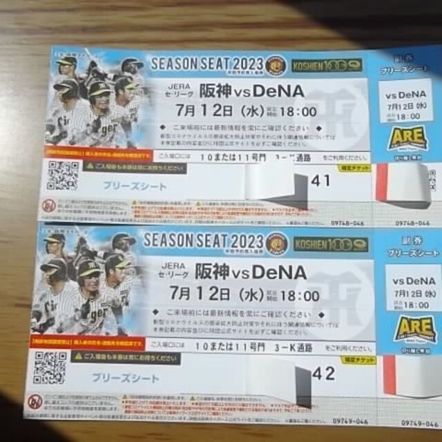 7月12日（水）阪神 vs DeNA　ブリーズシート2連番【通路側】