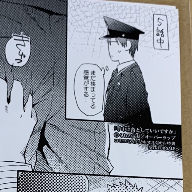 くれの又秋 手中に落としていいですか エンタメ/ホビーの漫画(ボーイズラブ(BL))の商品写真