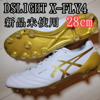 アシックス(asics)のasics DS LIGHT X-FLY4 新品　タグ付き箱付き(シューズ)