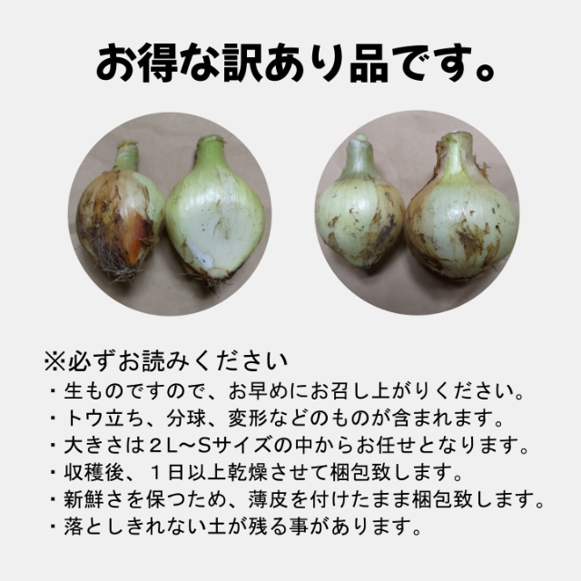 熊本産 新玉ねぎ 10ｋｇ 訳あり 農家直送 特別栽培 新たまねぎ 新タマネギ 食品/飲料/酒の食品(野菜)の商品写真