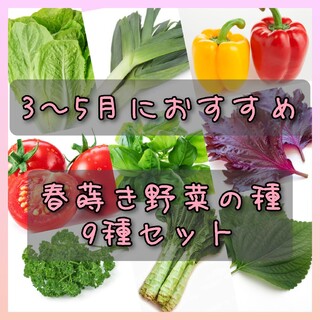 野菜の種 3-5月におすすめ とろねぎ ミニトマト パプリカ エゴマ 赤紫蘇