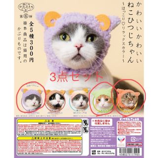 ひつじの被り物 3点セット 犬猫用(猫)