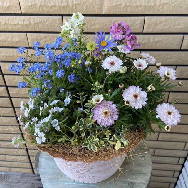 小花がかわいい寄せ植え♡ ハンドメイドのフラワー/ガーデン(プランター)の商品写真