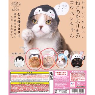 犬猫用 こうぺんちゃん かぶりもの2点(猫)