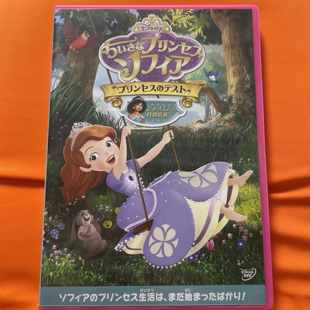 Disney(ディズニー)のちいさなプリンセス　ソフィア／プリンセスのテスト DVD エンタメ/ホビーのDVD/ブルーレイ(キッズ/ファミリー)の商品写真