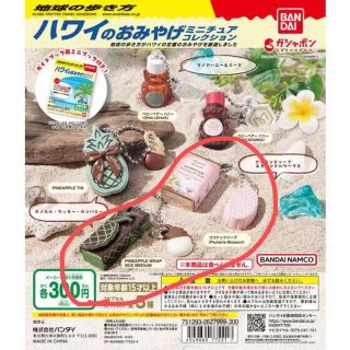 ハワイのお土産ミニチュアコレクション　ガチャ(その他)