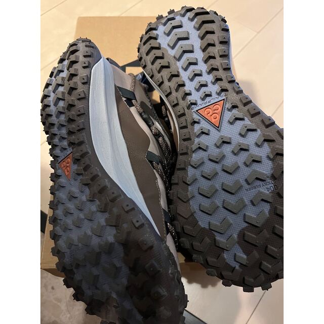 Nike ACG マウンテンフライ LOW SE