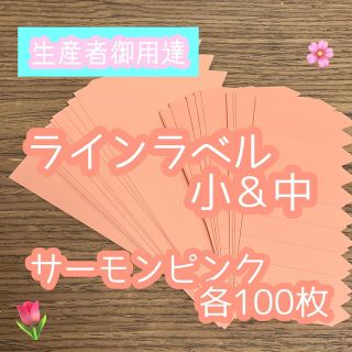 ラインラベル 小＆中セット 肌 各100枚 園芸カラー 多肉植物 エケベリア(プランター)