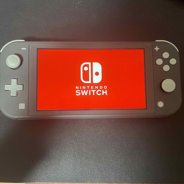 Nintendo Switch  LITE  スイッチライト　グレー　本体のみ