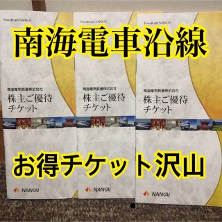 南海電鉄株主優待券　３冊(その他)