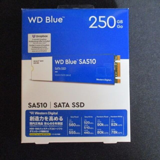 WD M.2 SATA SA510 250GB 5年保証表示有