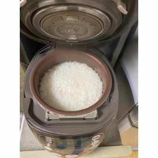 かまど味　発芽玄米圧力炊飯器　ECJ-CH10NX