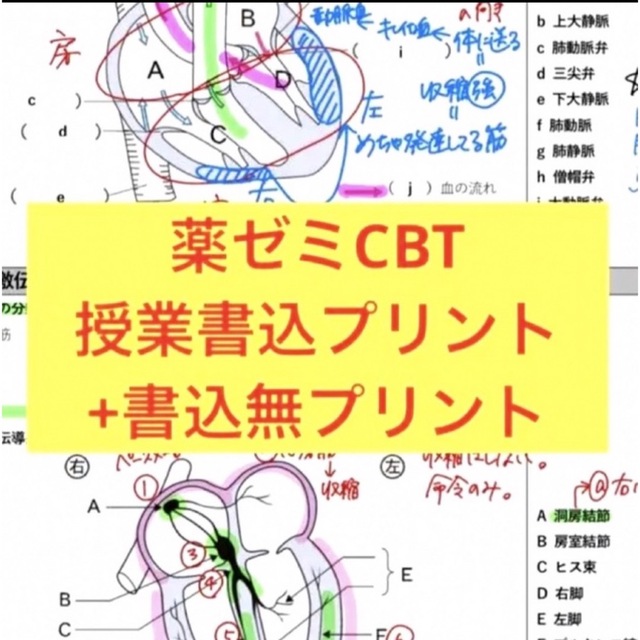 コアカリ重点ポイント集 コアカリマスター 第8版 CBT 薬ゼミ | www