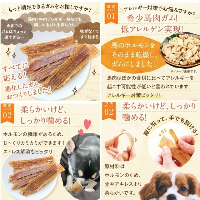 【健康いぬ生活】 馬肉かみかみガム レギュラーサイズ ×１袋 その他のペット用品(ペットフード)の商品写真