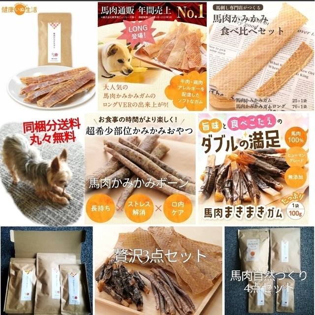 【健康いぬ生活】 馬肉かみかみガム レギュラーサイズ ×１袋 その他のペット用品(ペットフード)の商品写真