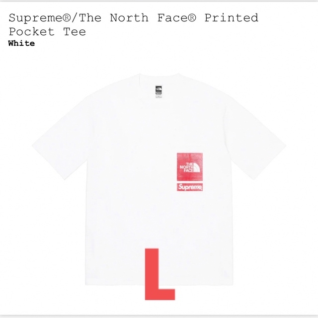 Supreme North Face Printed Pocket Tee  L
