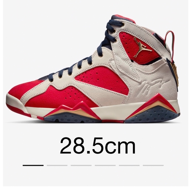 NIKE(ナイキ)のTrophy Room × Nike Air Jordan 7  28.5cm メンズの靴/シューズ(スニーカー)の商品写真